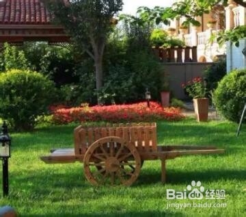 院子新垫的土怎么处理