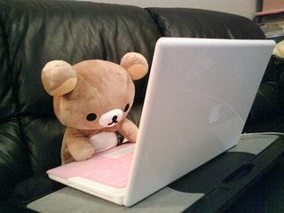 怎样自助查询高考录取情况