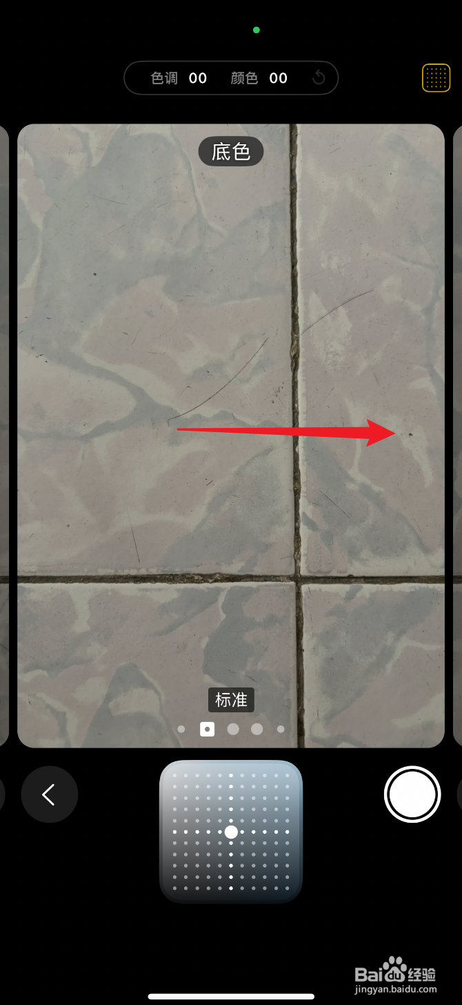 iPhone 16相机如何成冷调玫瑰色摄影风格