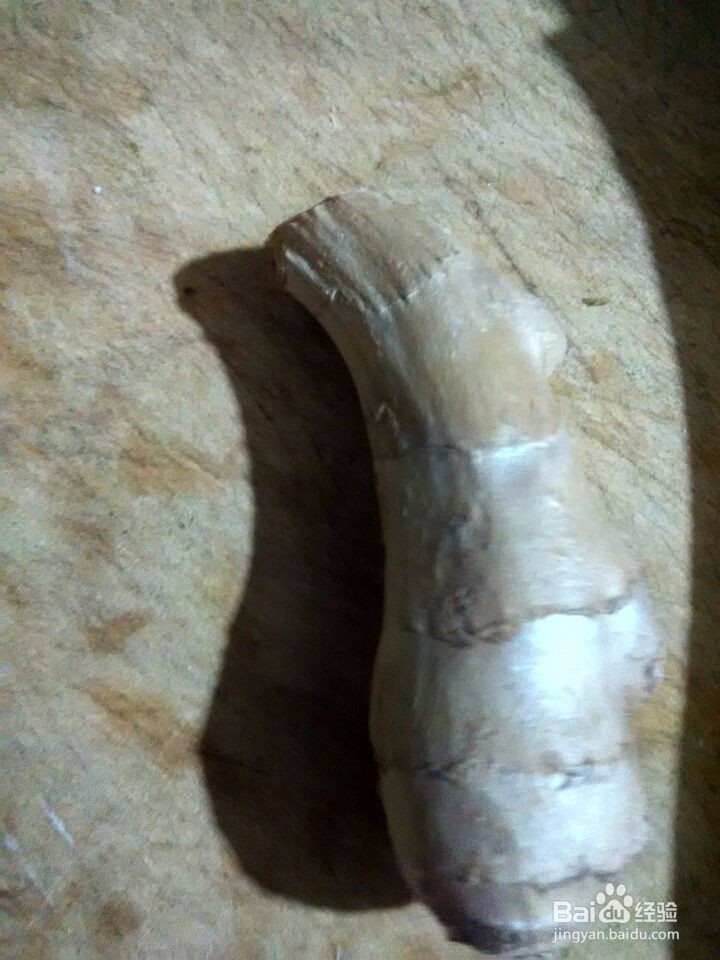 干豆腐块炒白菜块