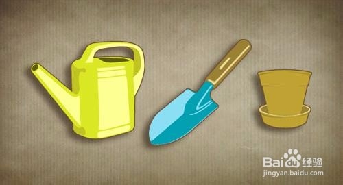 种花，土壤有哪些考究？