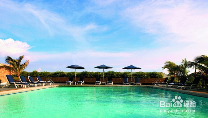 游泳怎么换气之蛙泳