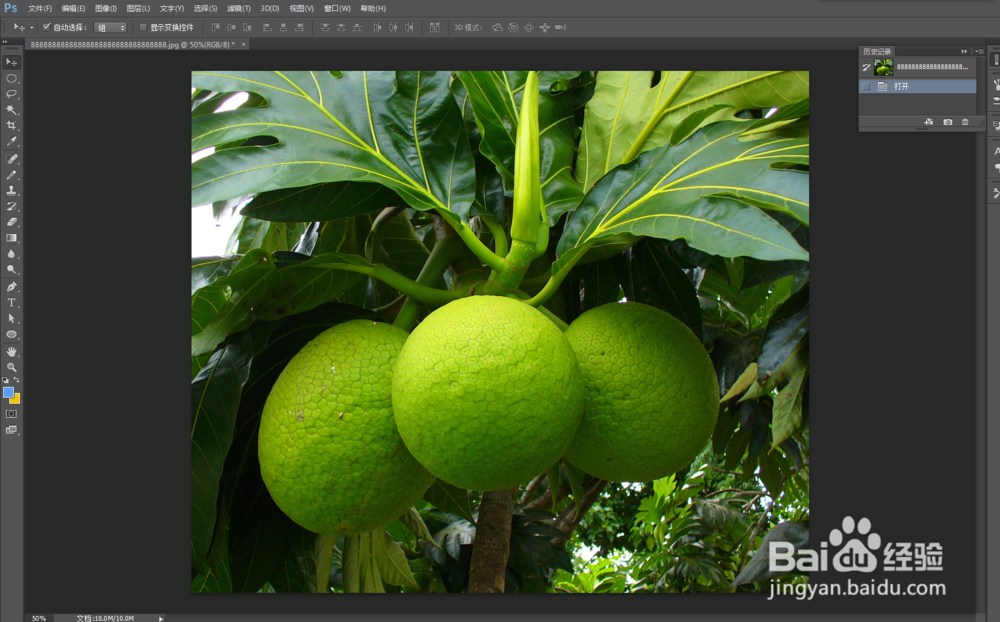 Photoshop滤镜库——木刻的使用