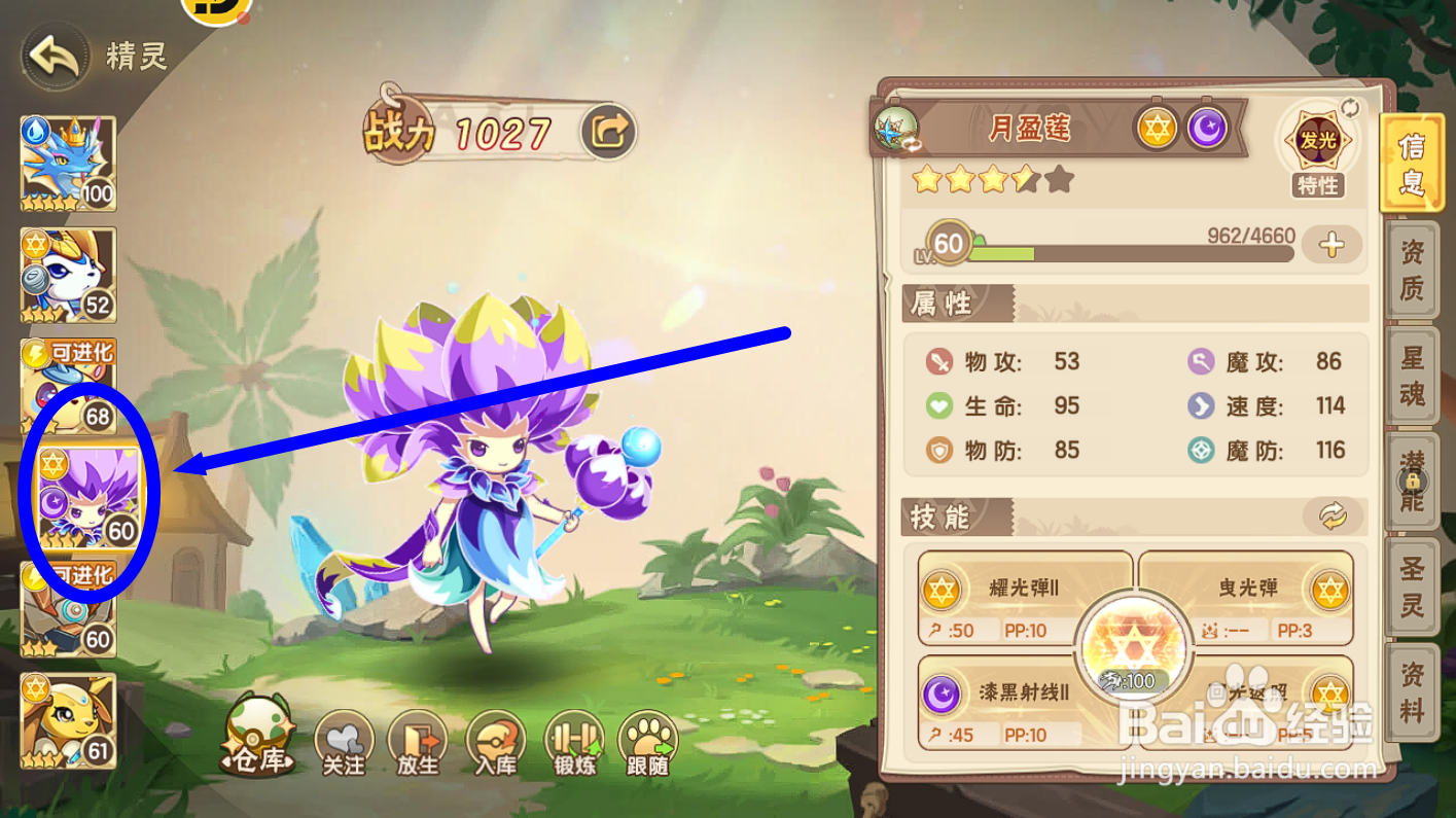 西普大陆月盈莲绝招【月光莲海】威力是多少