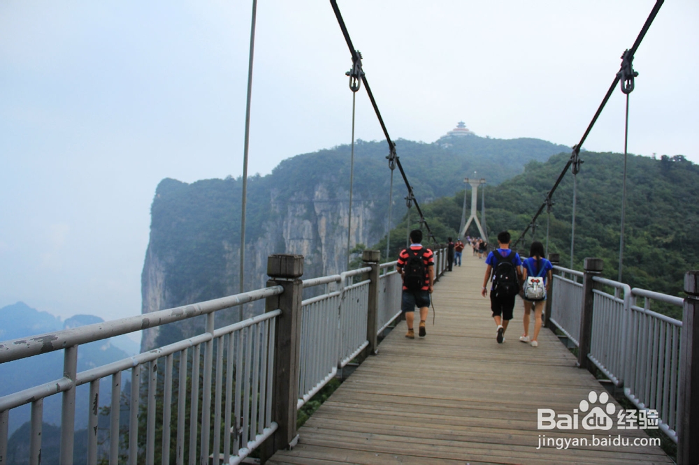 深圳到张家界自助游