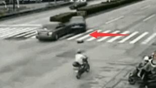 汽车撞动物怎么处理