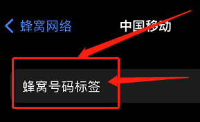苹果13怎么切换主副卡