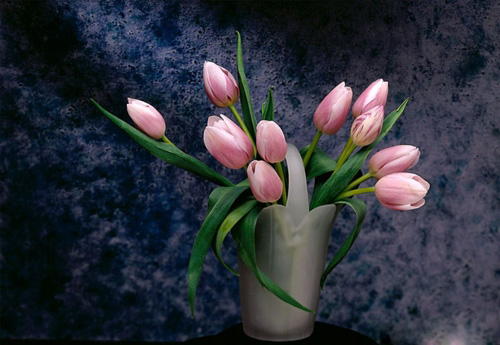 三招摄影构图的小技巧