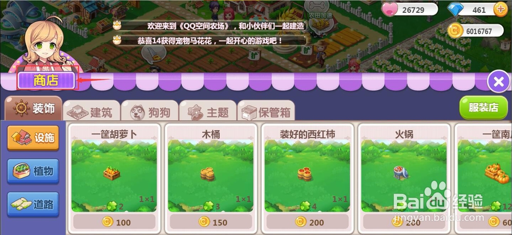 怎样购买植物向日葵？