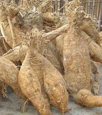 方便解酒,做到千杯不倒