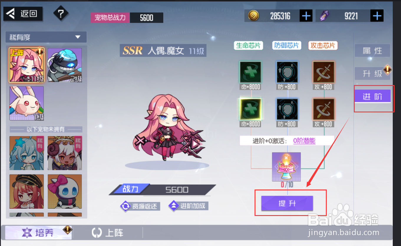 黑月手游怎么培养宠物