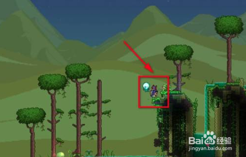 泰拉瑞亚藤蔓怎么获得