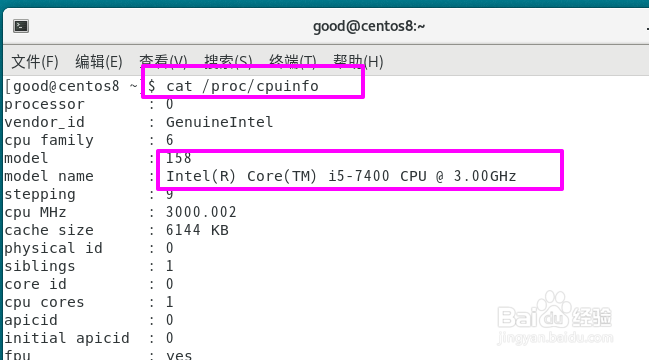 Centos8怎么查看CPU型号
