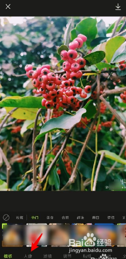 醒图如何去掉水印
