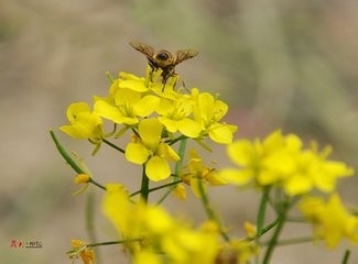 如何快速提高作文成绩