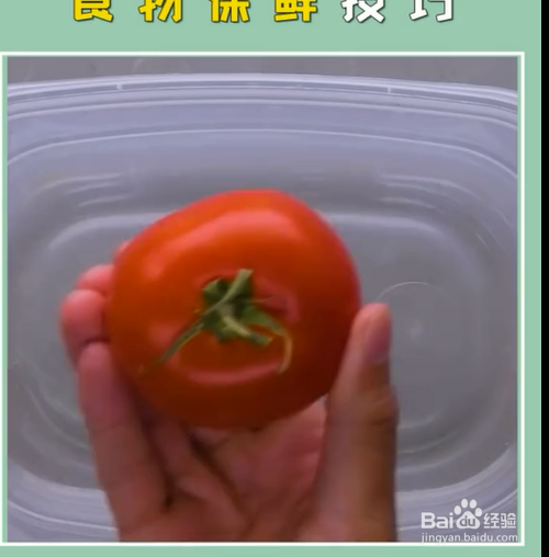 如何掌握食物保鲜小技巧？