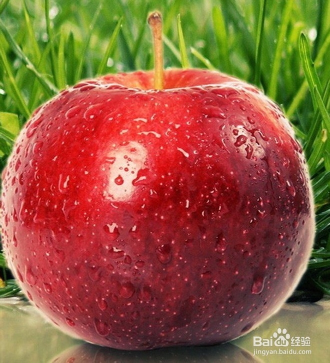 提高免疫力的必备营养素之水果