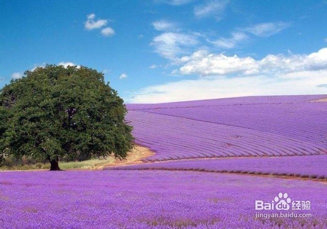 法国旅游攻略之时尚法国游