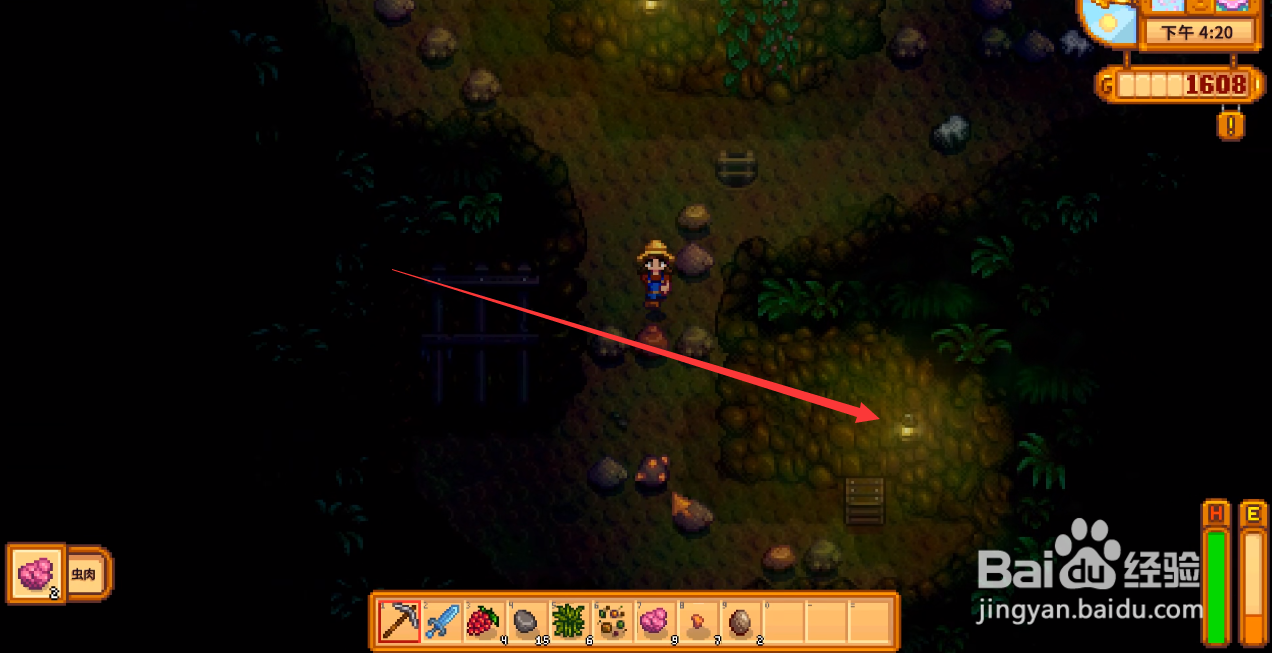 星露谷物语怎么利用猪找松露