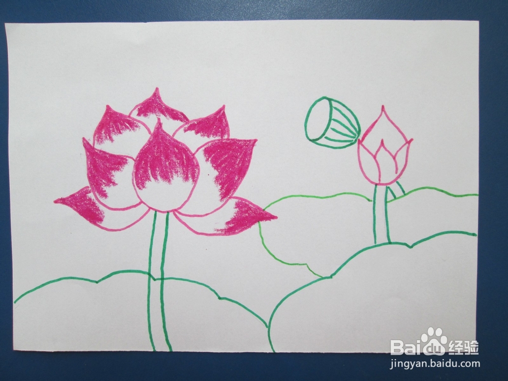 我们来学油画棒：[6]荷花