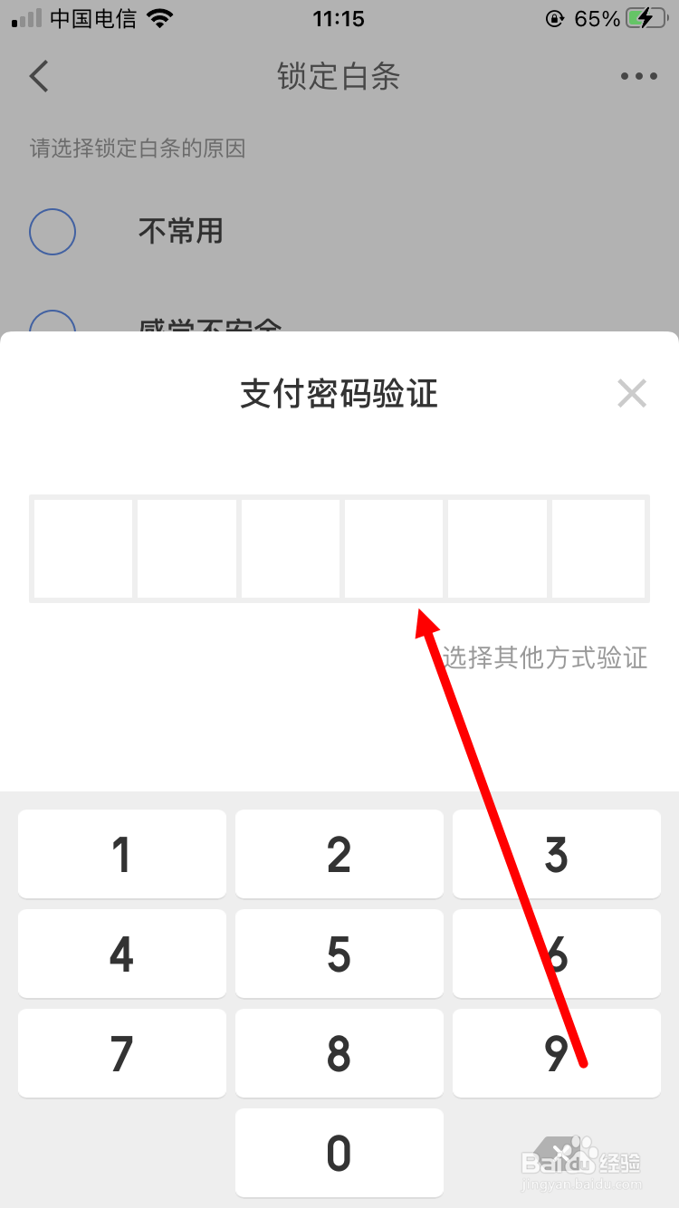 怎么锁定白条账户