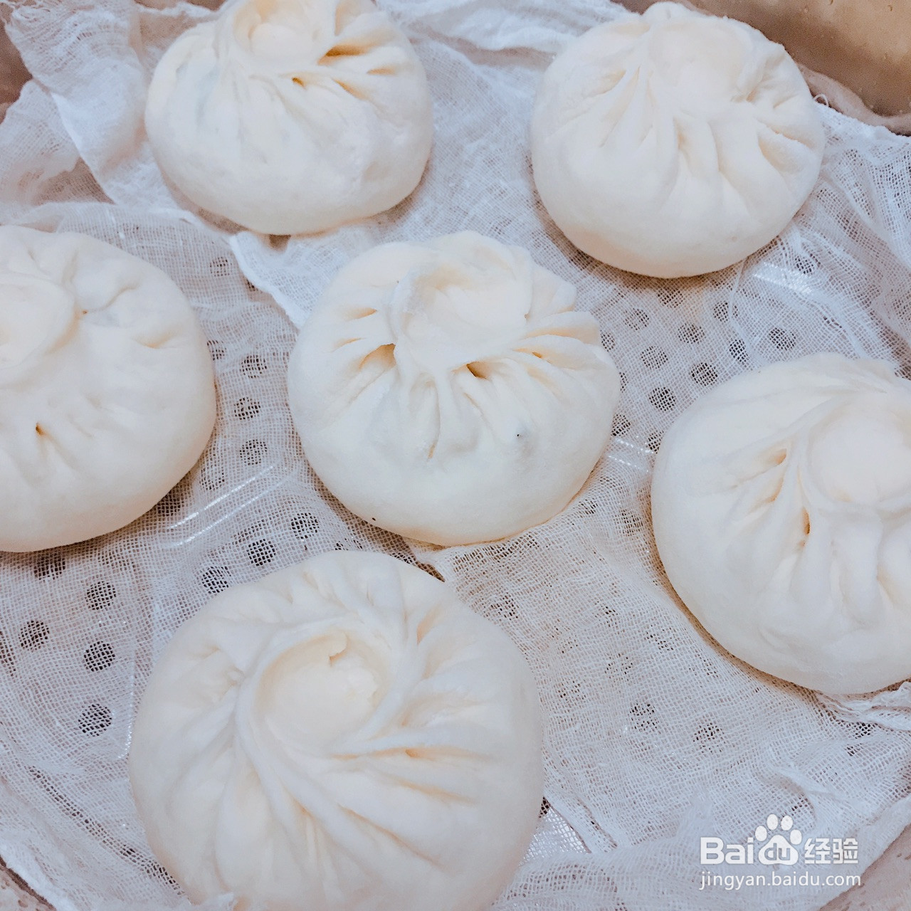 南瓜鸡蛋粉条大包子的做法