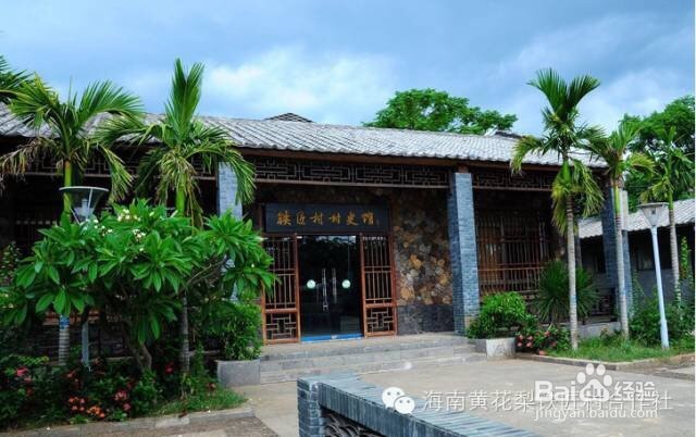 赏玩海黄心得分享