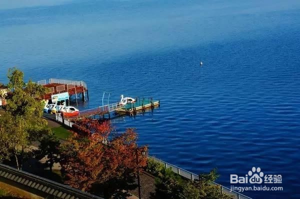 新西兰自由行全攻略