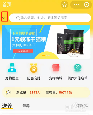 支付宝怎么领养宠物