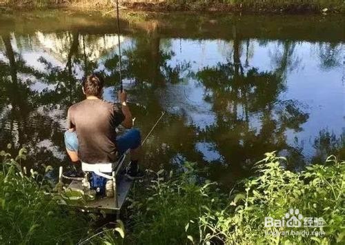 秋冬钓鲫鱼技巧