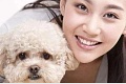 泰迪犬怎样训练