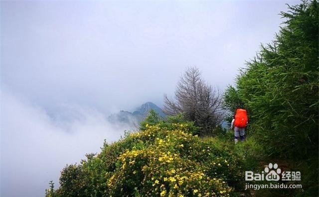 河北灵山风景区旅游怎么样