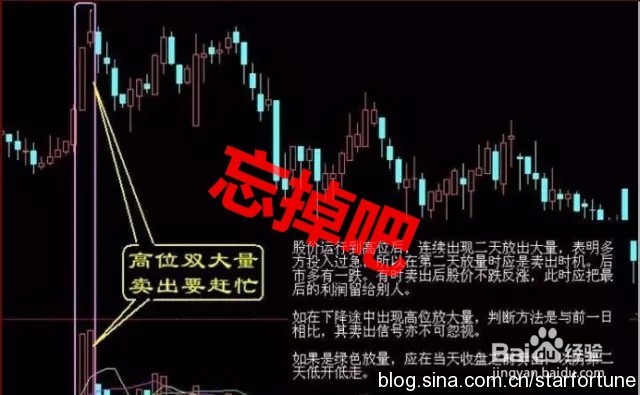 股票市场的理财模式