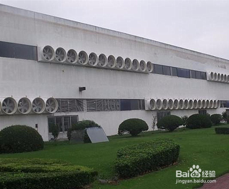 车间排蒸汽什么方法好?