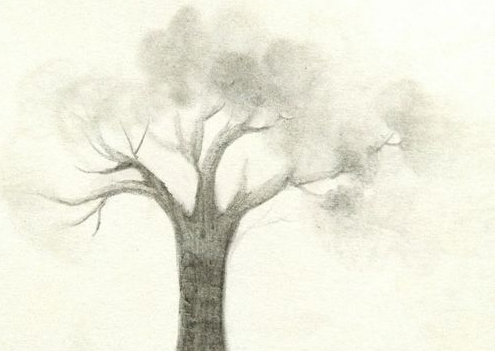 如何画一棵树