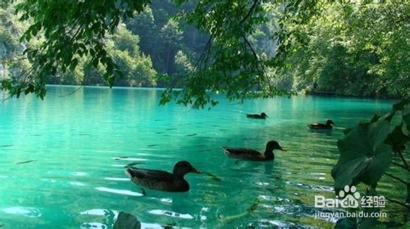 克罗地亚十六湖国家公园 欧洲的“九寨沟”