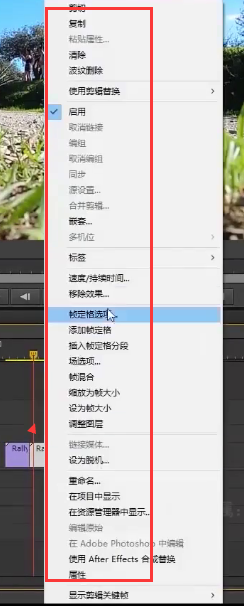 使用Pr软件将视频片段进行倒放编辑视频倒放