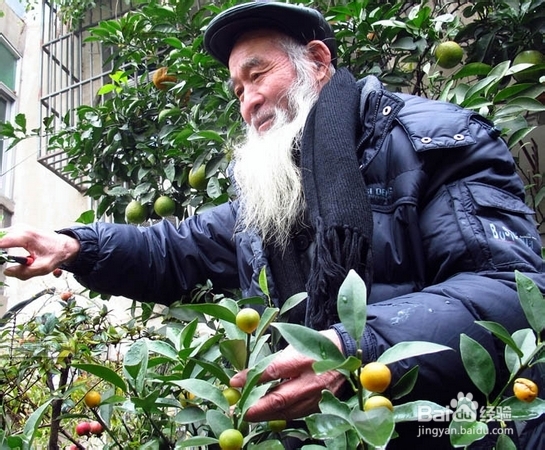 如何排出体内毒素，让你受用一生的养生方子！