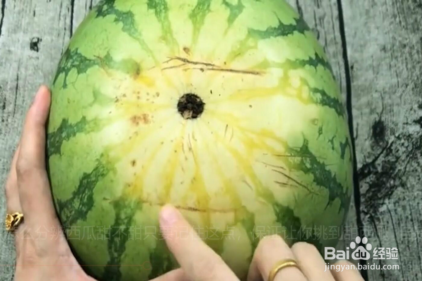 如何挑到甜西瓜？