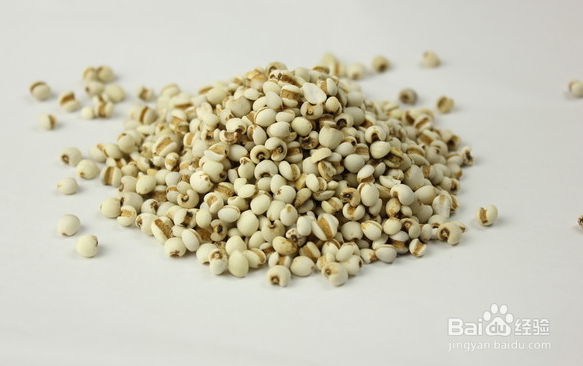 薏米的养生功效有哪些