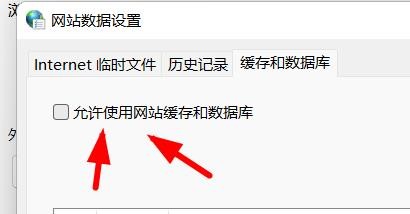 Windows11如何开启网络缓存和数据库