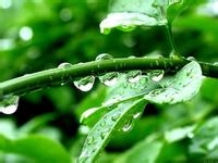自制爽肤水的方法