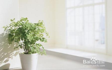 如何在漫天雾霾中保护自己？