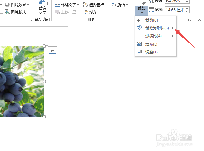 word2007如何裁剪图片