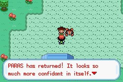 口袋妖怪圣灰攻略图片5