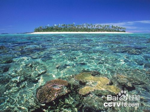 YASAWA群岛,绝美海景飞跃之旅---斐济8日自助游