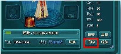 【双龙诀】《双龙决》宠物系统抢先预览