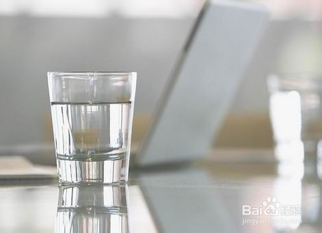 养活兔兔的条例之