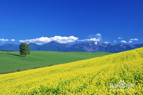 如何正确对待休身养性