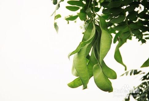 脱发、头发稀少,教你一个便宜好用的生发方法